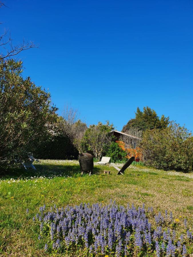 La Cabane Du Pesquier En Provence Комон-сюр-Дюранс Екстер'єр фото