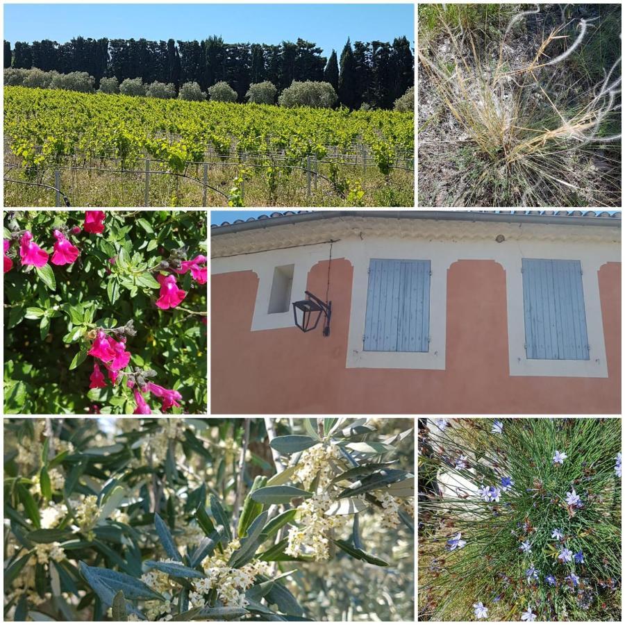 La Cabane Du Pesquier En Provence Комон-сюр-Дюранс Екстер'єр фото